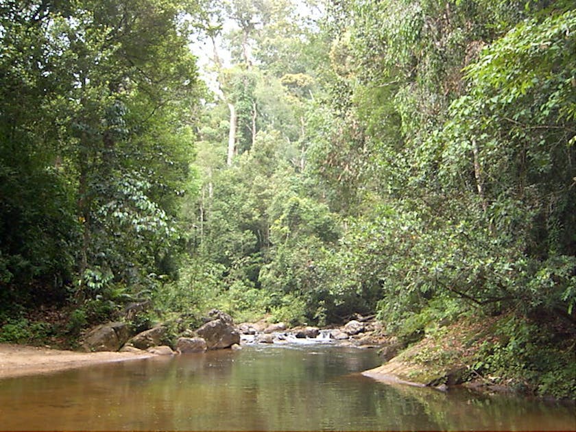 sri-lanka-lowland-rainforests-one-earth